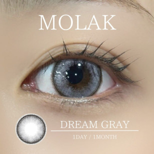 MOLAK 1day Dream Gray モラクワンデー ドリームグレー